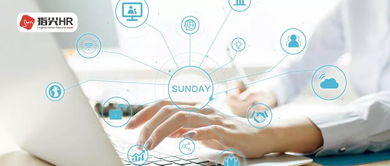 公司組織員工休息日培訓(xùn)，是否需要支付加班費(fèi)？——以辦公軟件服務(wù)為例