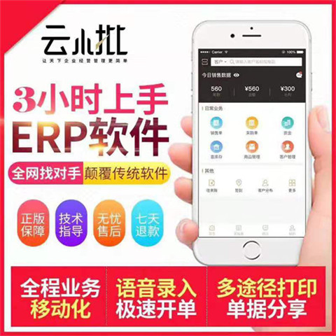 數(shù)字時(shí)代的核心驅(qū)動(dòng)力 軟件與服務(wù)生態(tài)解析